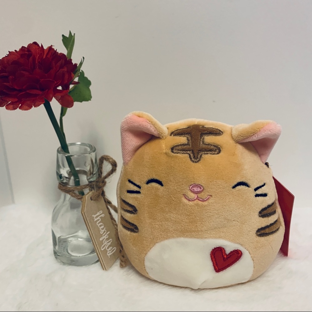 Squishmallow Nathan Kitty Cat 🐱, Valentine ♥️, Tabby Kitten 5” New